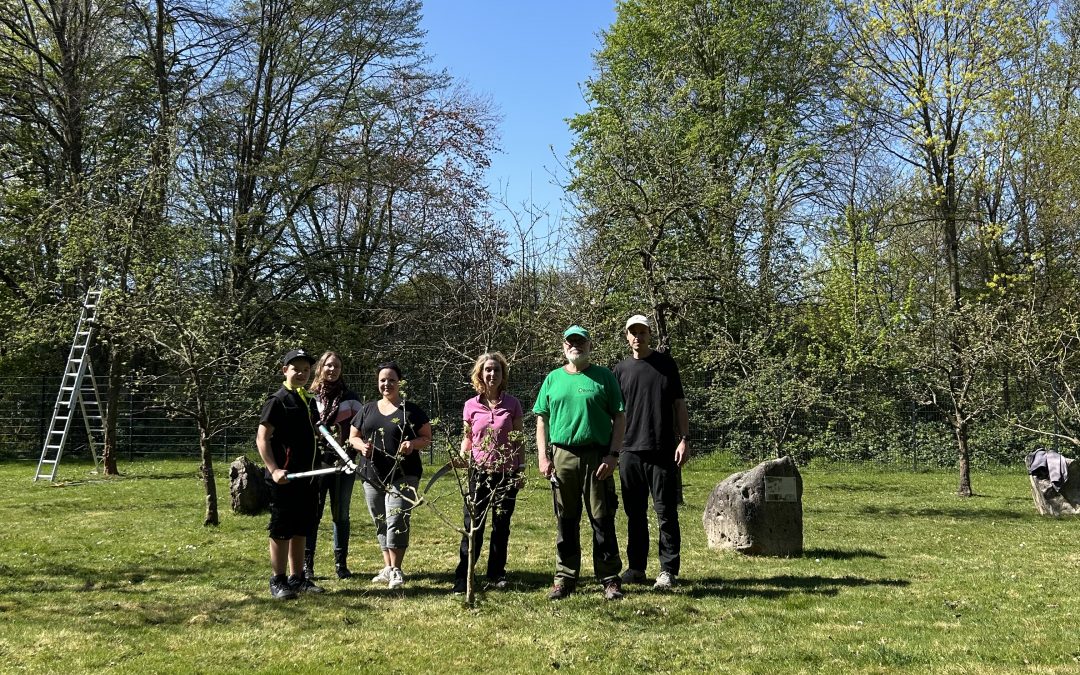 Workshop Obstbaumschnitt mit BUND an der Käthe im Sonnenschein