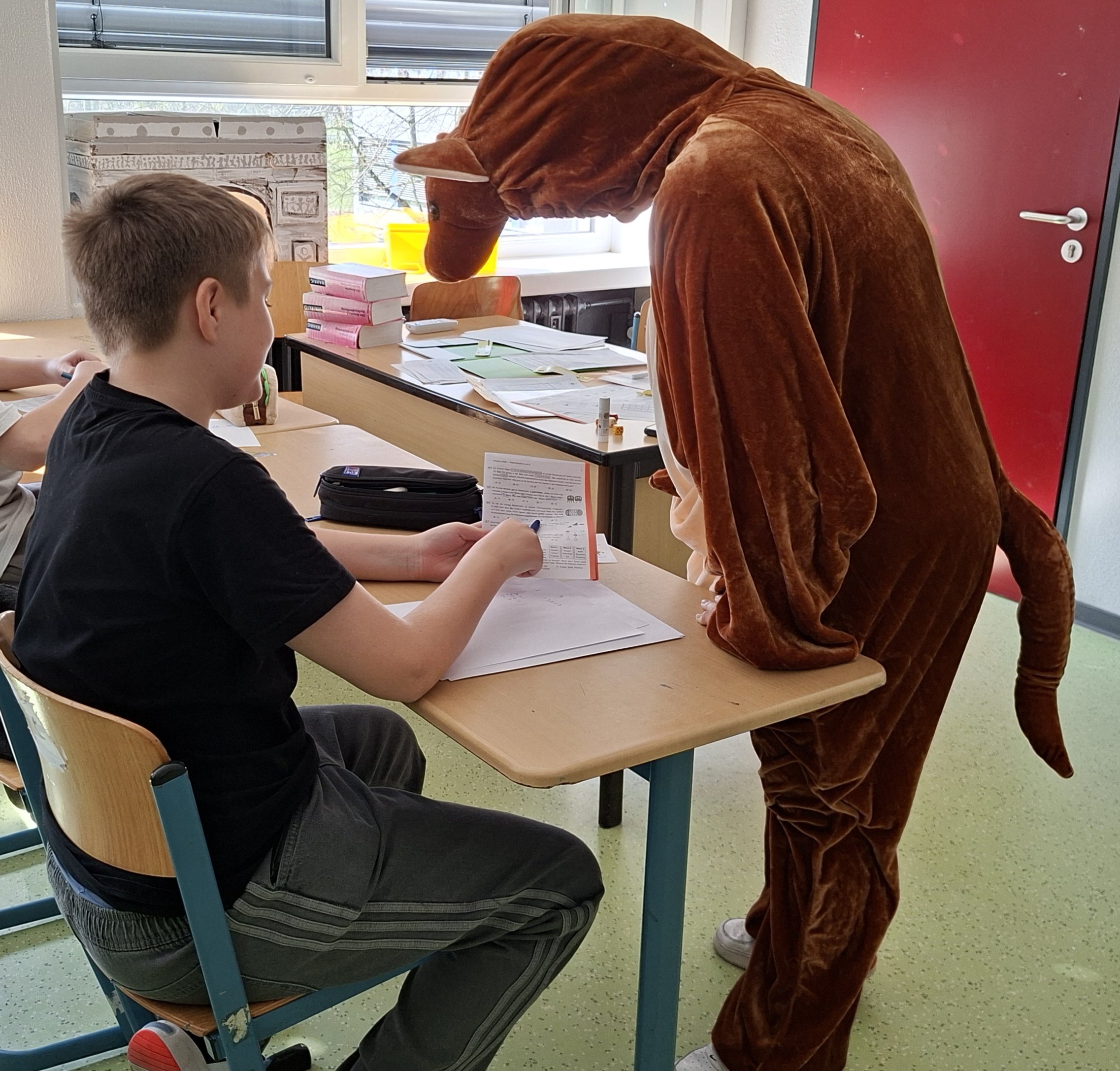 20260319_104858-KÑnguru1