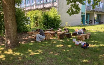 Erfolgreicher Schulgarten-Workshop für Grünes Klassenzimmer